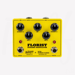 Benson Amps - Florist - Dynamic Modulation