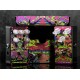 Catalinbread - Dreamcoat/Skewer Box Set - Preamp & Treble Booster set Catalinbread - Dreamcoat/Skewer Box Set - Preamp & Treble Booster set