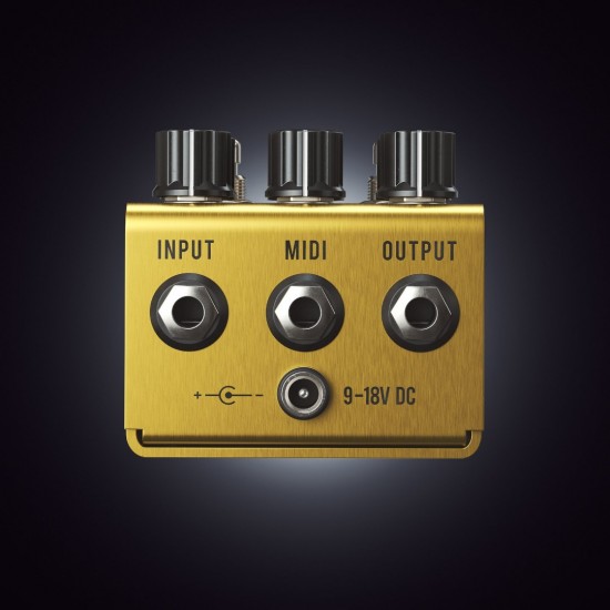 Jackson Audio - Golden Boy - Transparent Overdrive