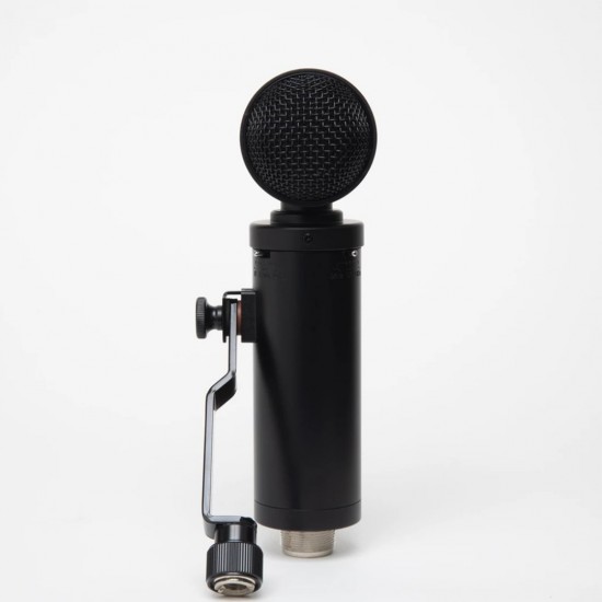 LAUTEN AUDIO - LS-308 - Large-diaphragm Condenser Microphone