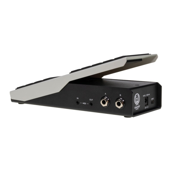 Walrus Audio - Canvas Expression Pedal
