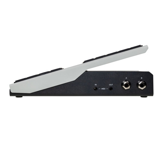 Walrus Audio - Canvas Expression Pedal