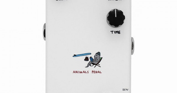 Animals Pedal Relaxing Walrus Delay